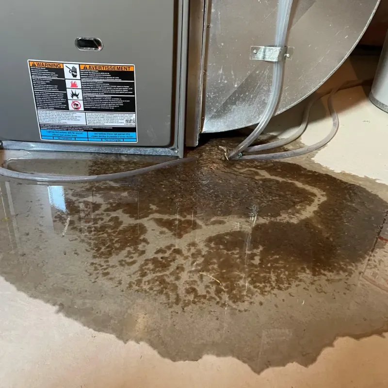 Appliance Leak Cleanup in Calhoun County, TX